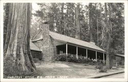 Mariposa Grove Big Trees Lodge Postcard