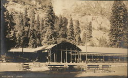 Yosemite Lodge Postcard