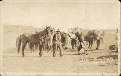 Indian Peace Treaty, Med Lodge Cowboy Western Postcard Postcard Postcard