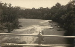 View of Bridge From River California Postcard Postcard Postcard