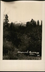 Mount Burney Postcard