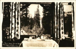 View From Dining Room, Tamarack Lodge Twin Lakes California Postcard Postcard Postcard