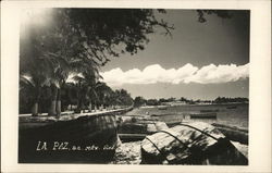 View of Beach Postcard