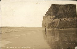 The Beach San Gregorio, CA Postcard Postcard Postcard