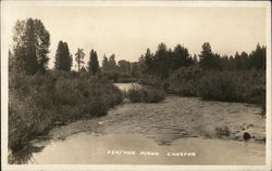 Feather River Chester, CA Postcard Postcard Postcard