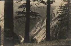 Bald Peak Cayon Oroville, CA Postcard Postcard Postcard