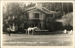 Will Rogers' Favorite Roping Pony "Soapsuds" Postcard