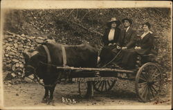 People in Ox Cart Postcard