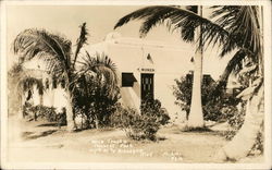 Ollie Trout's Tourist Park Miami, FL Postcard Postcard Postcard