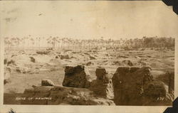 Ruins of Memphis Postcard