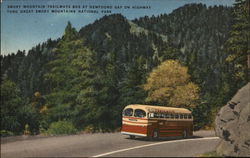 Smoky Mountain Trailways Bus at Newfound Gap Postcard