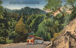 Smoky Mountain Trailways Bus Buses Postcard Postcard Postcard