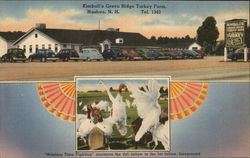 Kimball's Green Ridge Turkey Farm Nashua, NH Postcard Postcard Postcard