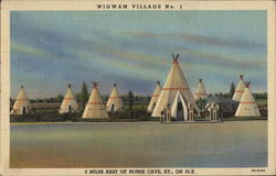 Wigwam Village No.1 Postcard