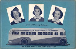 The Grey Lines' "Luxury Limited" Buses Postcard Postcard Postcard