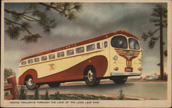 Carolina Trailways Bus Postcard