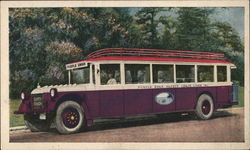 Purple Swan Safety Coach Lines Postcard