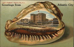 Hotel Chalfonte Postcard