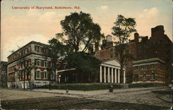 University of Maryland Postcard