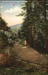 Mt. Tamalpais Railway, California Railroad (Scenic) Postcard Postcard Postcard