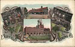 Buffalo Brewing Co. - New Brew, Bohemian Sacramento, CA Postcard Postcard Postcard