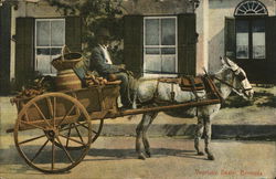 Vegetable Dealer, Bermuda Postcard Postcard