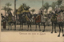 Tahtiravan des noces en Egypte Africa Postcard Postcard