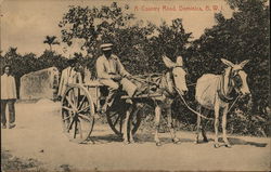 Country Road Dominica Caribbean Islands Postcard Postcard