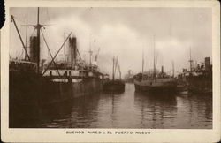 Buenos Aires - El Puerto Neuvo Postcard