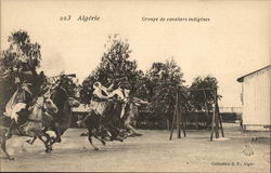 Algérie, Groupe de cavaliers indigènes Algeria Africa Postcard Postcard