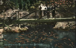 Describing the Beauties of Devil's Hole Bermuda Postcard Postcard