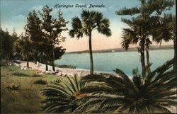 Harrington Sound Bermuda Postcard Postcard