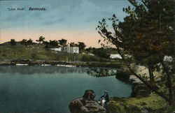 "Lion Rock". Bermuda. Postcard Postcard