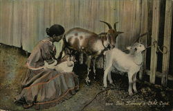 Goat Nursing a Child, Cuba Postcard Postcard