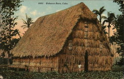 Tobacco Barn Cuba Postcard Postcard