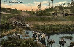 Cuban Pack Train Postcard Postcard