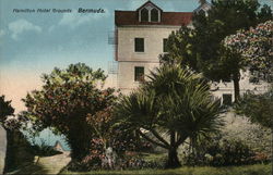 Hamilton Hotel Grounds Bermuda Postcard Postcard