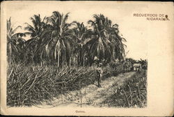 Corinto. Postcard