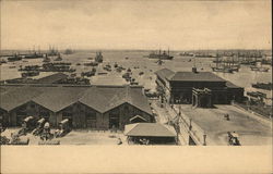 Harbour and Jetty Postcard