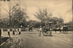 People in the park. Brazil Postcard Postcard