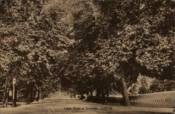 Lyton Road in Summer, QUETTA Germany Postcard Postcard