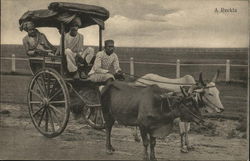 A Reckla India Postcard Postcard