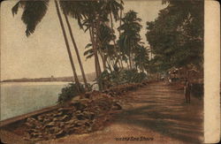 On the Sea Shore India Postcard Postcard