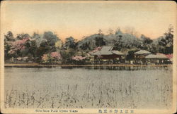 Shim Bazu Pond Uyeno Tokyo Japan Postcard Postcard