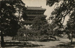 The Ryuon Gate towered among the twined old pine trees. Postcard