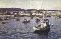 Fishing Fleet At Anchor Postcard