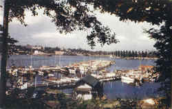 Seattle Yacht Harbor Postcard