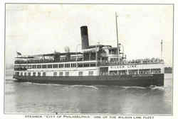 Steamer One Of The Wilson Line Fleet Postcard