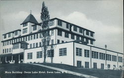 Main Building of the Swan Lake Hotel New York Postcard Postcard Postcard