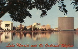 Lake Merritt and Oakland Skyline California Postcard Postcard Postcard